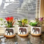 GIFTAGIRL Elephant Mothers Day or Birthday Gift – Gift for Mothers Day Elephant, Our Elephant Planter Pots are Beautiful Gifts for Any Occasion, and Arrive Beautifully Gift Boxed