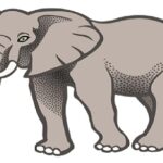 Elephant Trumpeting Sounds