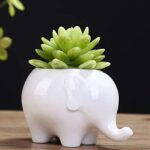 Everyday Better Life 4.92 Inches Cute Cartoon Animal Elephant Ceramic Succulent Cactus Flower Pot/Plant Pots/Planter/Container for Home Garden Office Desktop Decoration (White)