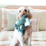 KONG – Comfort Kiddos Elephant – Fun Plush Dog Toy with Removable Squeaker – For Large Dogs