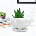 GeLive Elephant White Ceramic Succulent Planter Flower Plant Pot Window Box with Saucer Animal Decor (Mom Elephant)