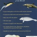 Whales, Dolphins, and Other Marine Mammals of the World (Princeton Field Guides, 41)