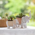 LA JOLIE MUSE Elephant Ceramic Succulent Planter Garden Pots, 8.6 + 5.9 Inch, Cute Animal Glazed Pottery Indoor Flower Plant Pots with Sandy Gravel Detailing Home Decor Gift