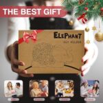 Elephant Key Hider & Jewelry Box – Cute Succulent Elephant Hide a Key Outdoor Decorative – Small Gift Box for Women, Home Decor & Elephant Gifts (Elephant)