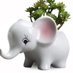 Matty’s Garden Pink Elephant 2.5 inch Succulent Planter