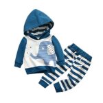 Toddler Infant Baby Boy Clothes Elephant Long Sleeve Hoodie Tops Sweatsuit Pants Outfit Set (3-6 Months)