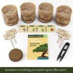 Bonsai Starter Kit – Gardening Gift for Women & Men – Bonsai Tree Growing Garden Crafts Hobby Kits for Adults, Unique DIY Hobbies for Plant Lovers – Unusual Christmas Gifts Ideas, or Gardener Mother
