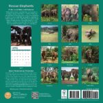 2024 Rescue Elephants Monthly Wall Calendar by Bright Day, Calendars For a Cause, 12 x 12 Inch Cute Nature Photography Gift