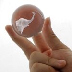 60mm Elephant Gifts 3D Laser Elephant Crystal Ball with Trunk up with Bird – Elephant Decor Elephant Figurine Glass Sphere Ball with Stand Table Decor Crystal Paperweight
