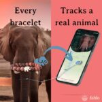 Fahlo Elephant Tracking Bracelet, Elastic, supports Save The Elephants, one size fits most for Men and Women (Lava Stone)