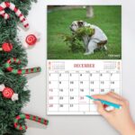 2024 Wall Calendar Dog Pooping Calendar 2024 12 Months (Jan. 2024 – Dec. 2024)?12″ x 17″ (Open) ?Funny Dog Calendar White Elephant Gifts for Friends