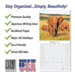 2023 2024 Elephants Calendar – African Wildlife Monthly Wall Calendar – 12 x 24 Open – Thick No-Bleed Paper – Giftable – Academic Teacher’s Planner Calendar Organizing & Planning – Made in USA