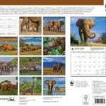 2024 WORLD WILDLIFE FUND Elephants Deluxe Wall Calendar