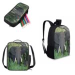 AmzPrint Kerala Elephant Backpack With Lunch Box For Elementary Middle School 17 Inch African Animal Backpack For Boys