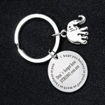 XLCTT Inspirational Gift Elephant Keychain Keyring Don’t Forget How Strong You Are Keychain Birthday Graduation Christmas Gift (Don’t forget)