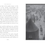 The Magician’s Elephant