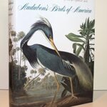 Audubon’s Birds of America: The Audubon Society Baby Elephant Folio
