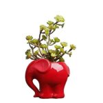 Cute Animal Elephant Shaped Ceramic Succulent Cactus Air Plant Flower Pots Planters-Plant Not Included (Red)