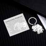 White Elephant Gifts for Adults Funny, Elephant Gifts for Women, Good Luck Gifts, Small Gifts for Women Men, Stocking Stuffers for Teens Women Men, Elephant Keychain Inspirational Gifts for Women