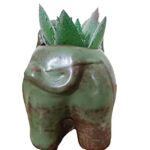 Everyday Better Life Cute Cartoon Animal Elephant Ceramic Succulent Cactus Flower Pot/Plant Pots/Planter/Container for Home Garden Office Desktop Decoration (Green)