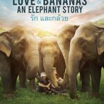 Love & Bananas: An Elephant Story