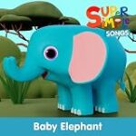 Baby Elephant